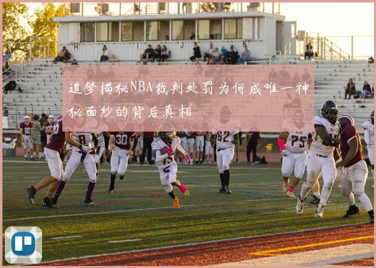 追梦揭秘NBA裁判处罚为何成唯一神秘面纱的背后真相